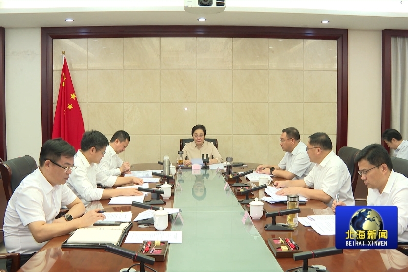 李莉主持召开北海市政府党组（扩大）会议