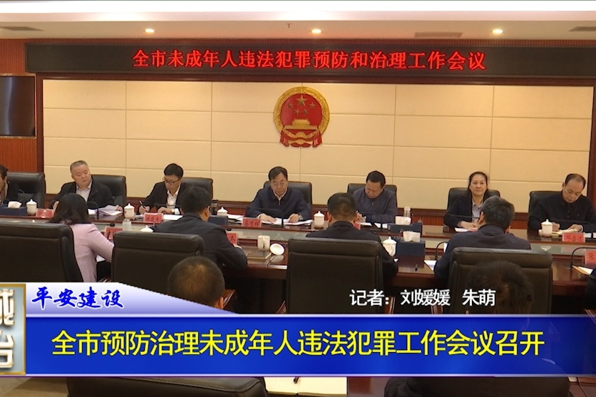 全市预防治理未成年人违法犯罪工作会议