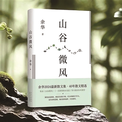 风中的山谷，心中的回响
