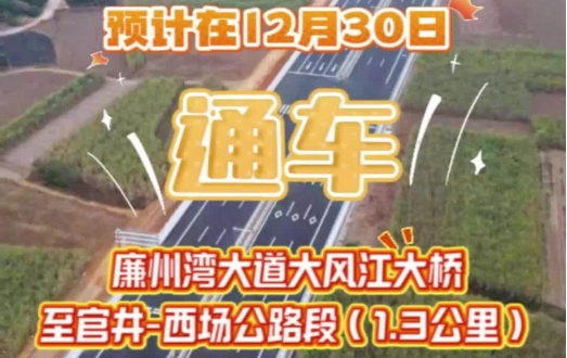 通过验收！廉州湾大道大风江大桥至官井-西场公路段（1.3公里）预计在12月30日通车