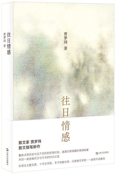 岁月长卷中的情感回响