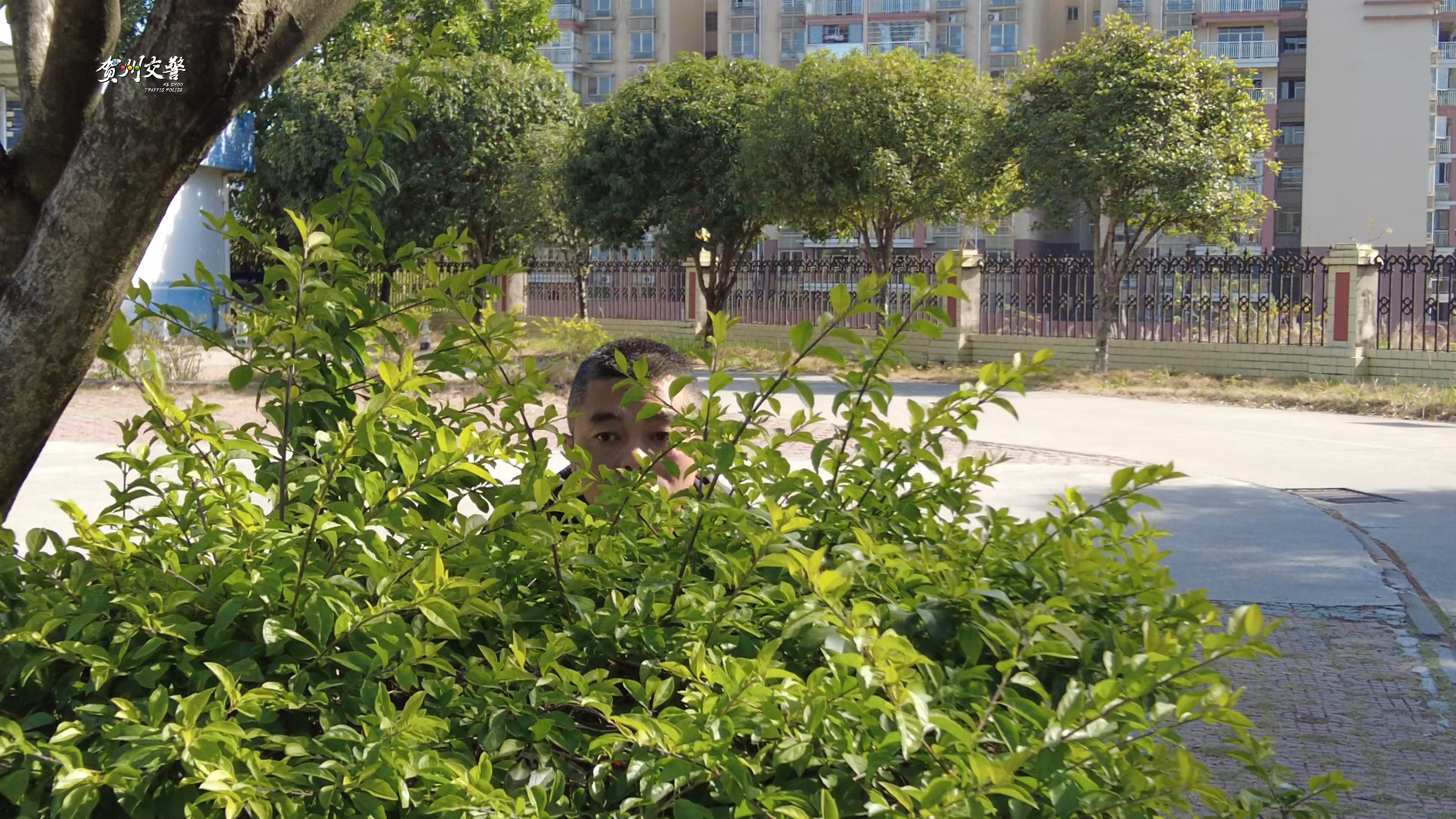 非法中介