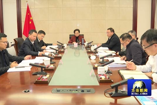 北海市政府党组召开2024年度民主生活会