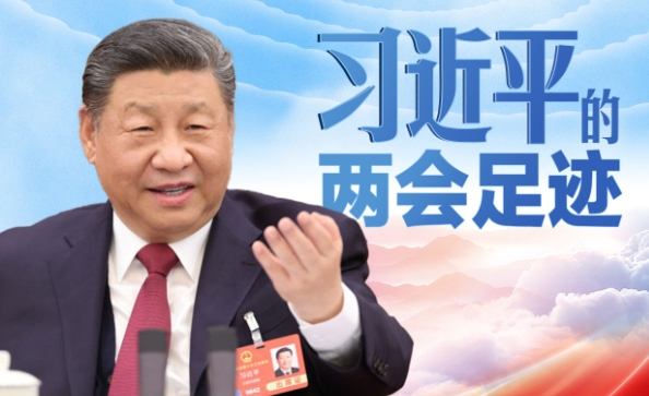 习言道丨习近平的两会足迹