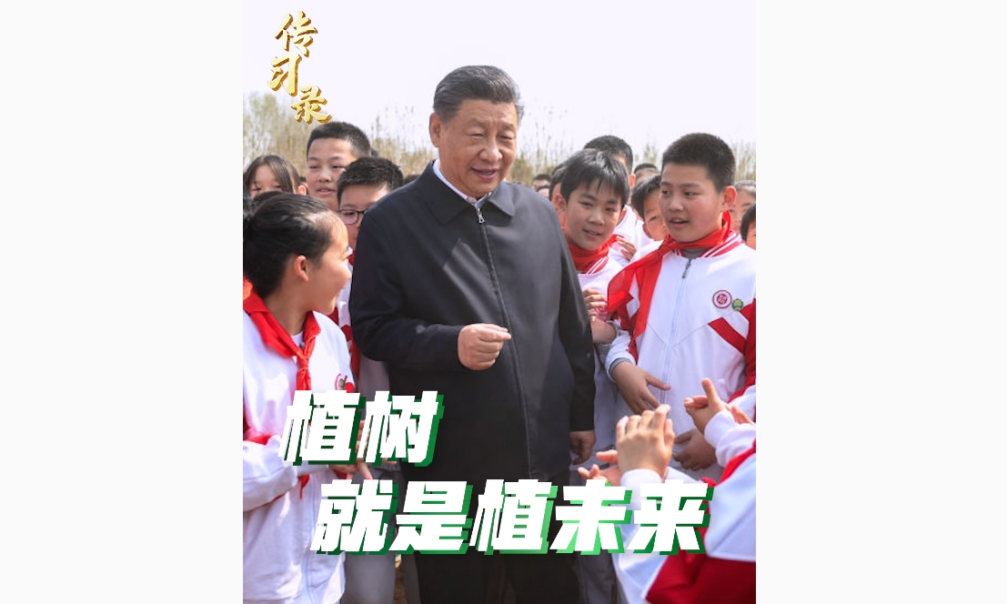 传习录丨植树就是植未来