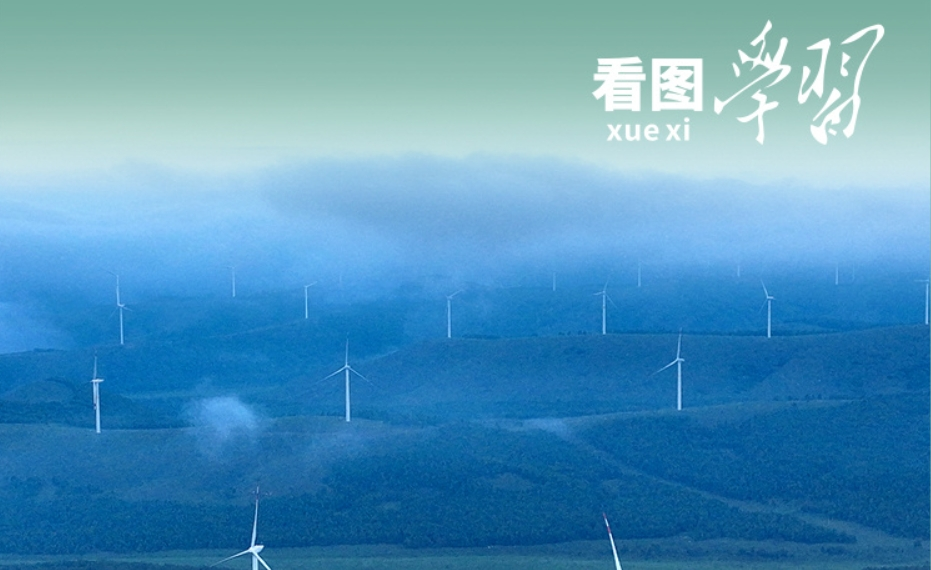 看图学习丨从“焦桐”到“谷树” 总书记强调生态文明建设靠物质也靠精神
