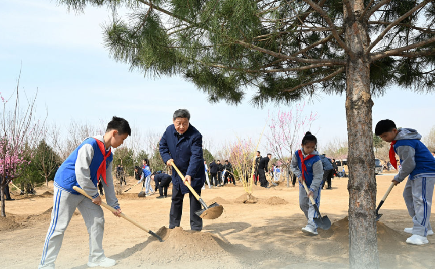 学习新语｜“义务植树是全民行动”
