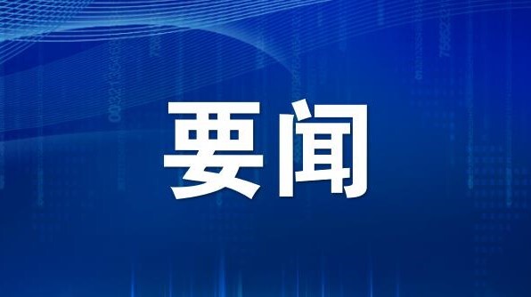 习近平会见越南总理范明政