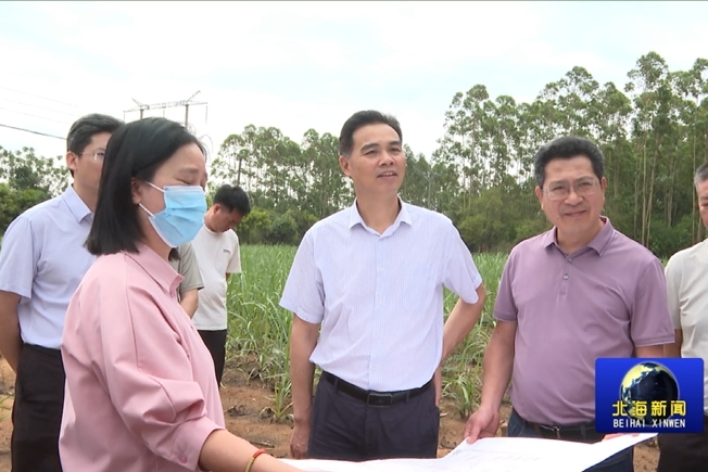 陆海生督导合湛高铁项目征地搬迁工作