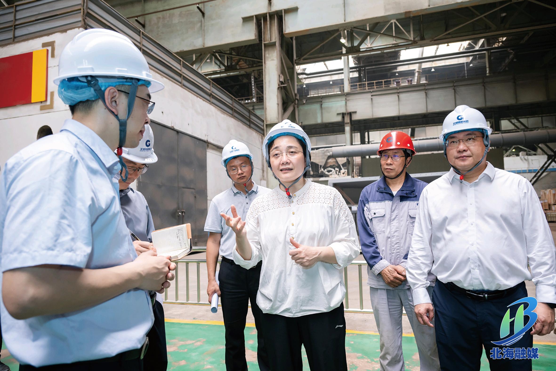 李莉督导涉重金属环境安全隐患排查整治和生态环保问题整改工作