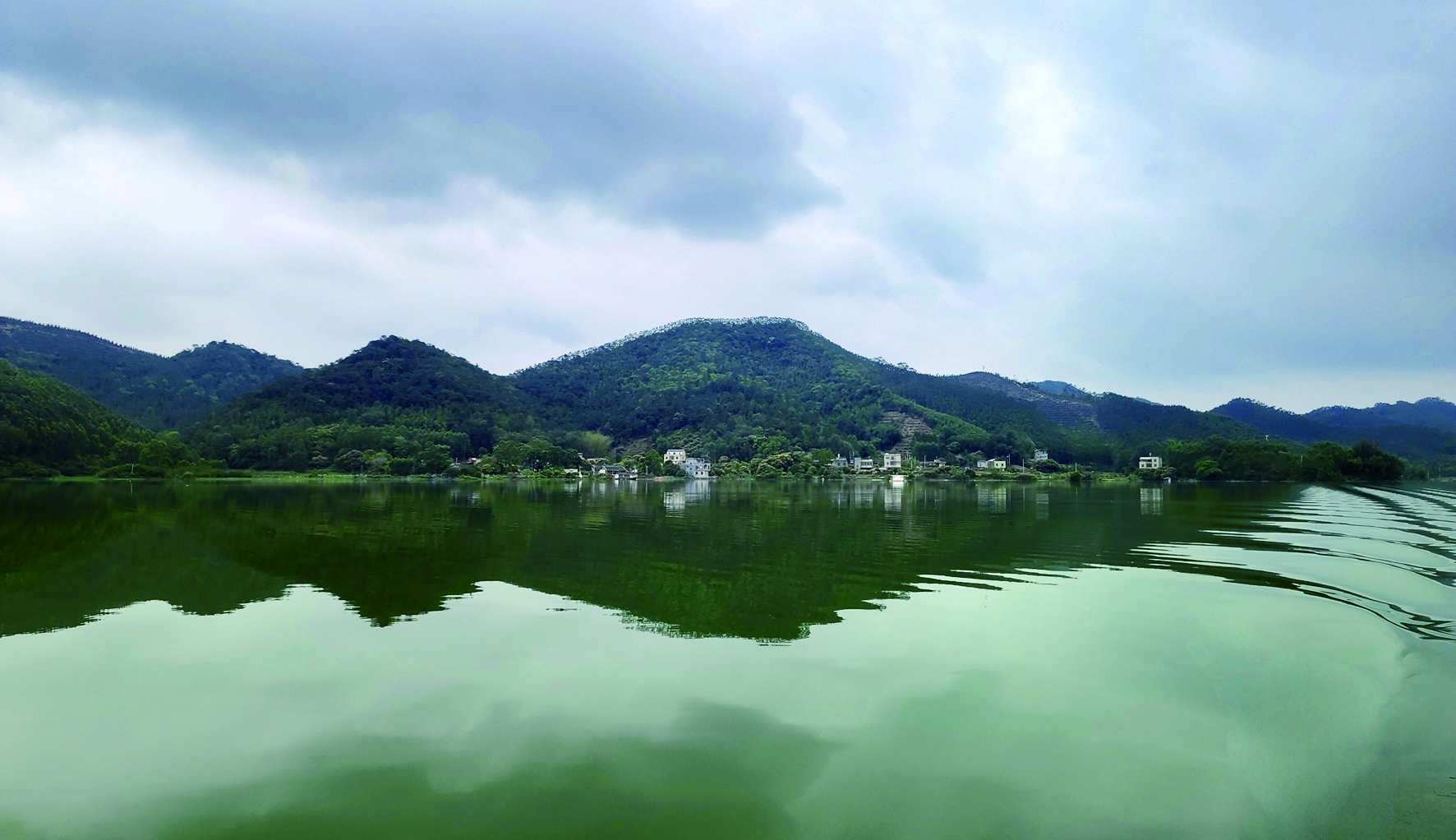 曲樟水