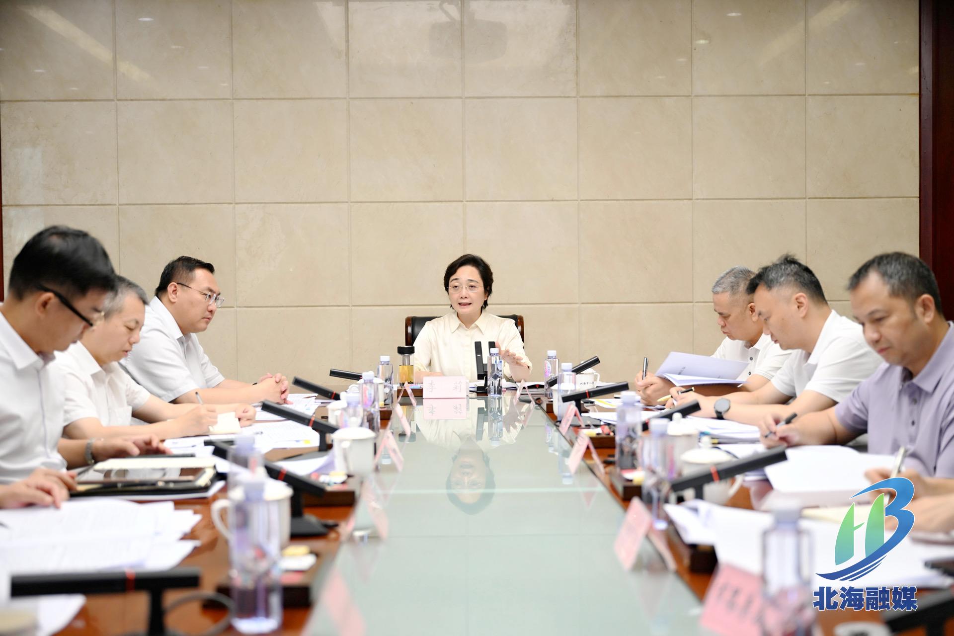 李莉主持召开合浦片区、铁山港片区重大项目推进会