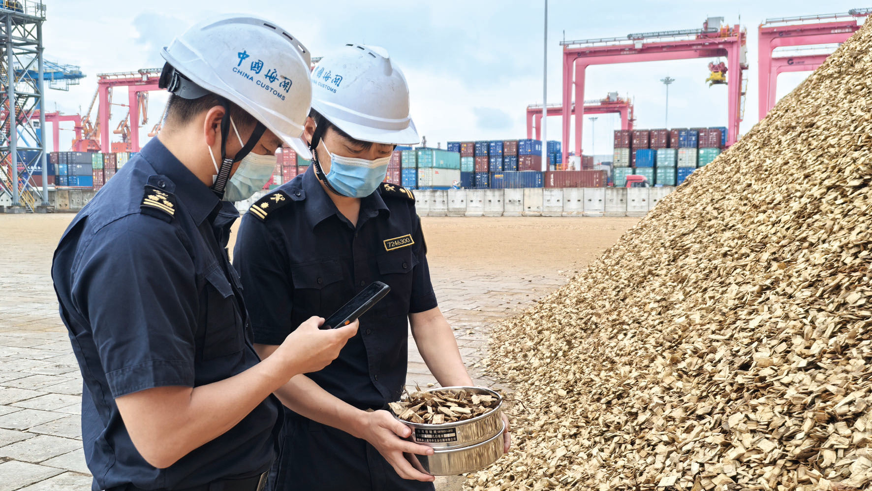 北海1月至4月外贸进出口总值147.7亿元 同比增长30.7%